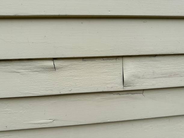 Affordable Siding Repair and Maintenance Services in Allison Park, PA